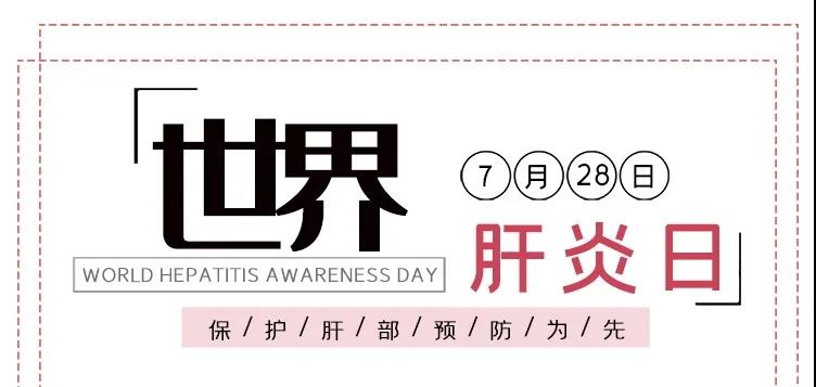 世界肝炎日——積極預(yù)防，主動檢測，規(guī)范治療，全面遏制肝炎危害！